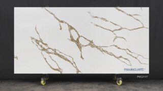 Stone Surfaces PMC2147-Slab