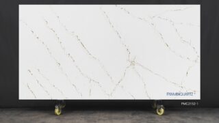Stone Surfaces PMC2152-1-Slab