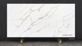 Stone Surfaces PMC2236-Slab